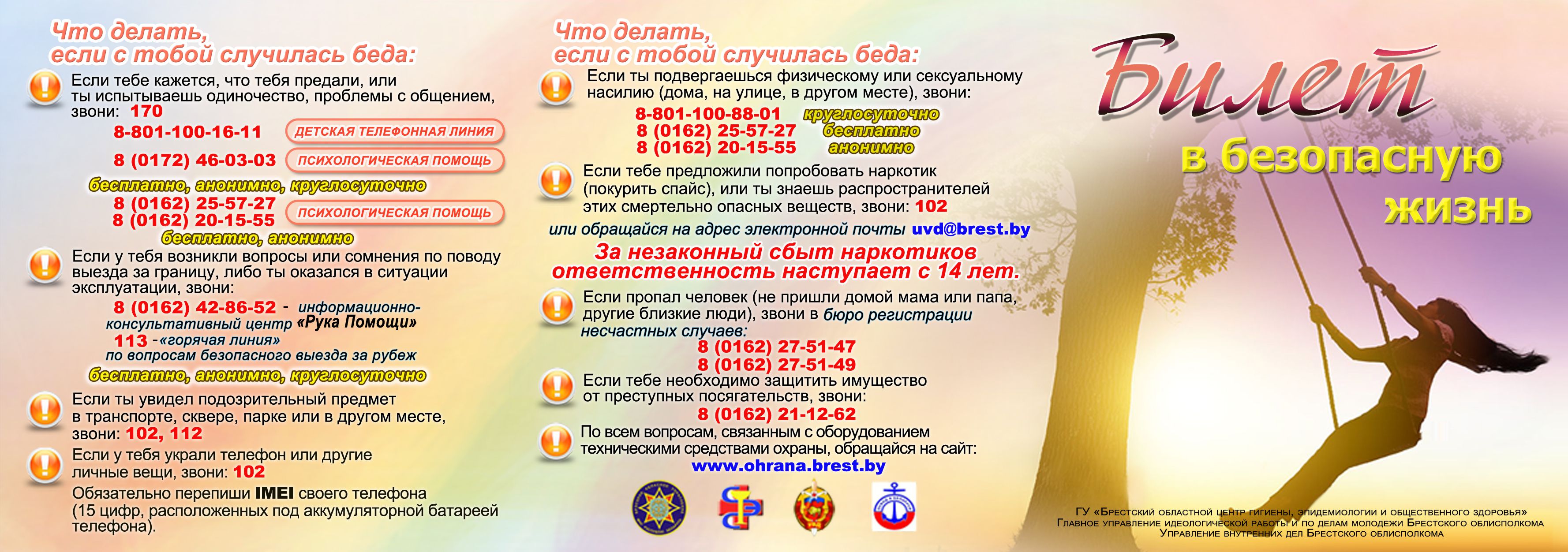 lico 5.1 kopija 